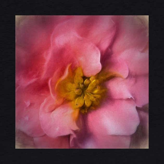 Artistic Begonia by Violaman